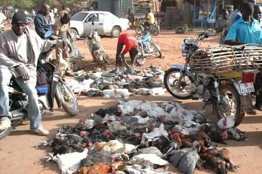 Vente de vollailles en pleines rue de Ouagadougou