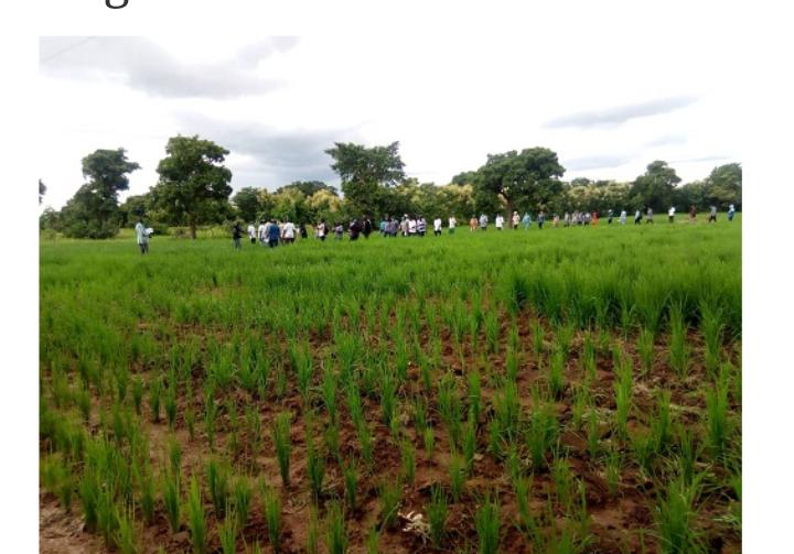 La campagne agricole dans le Sud-Ouest