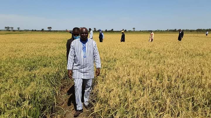 secteur agricole