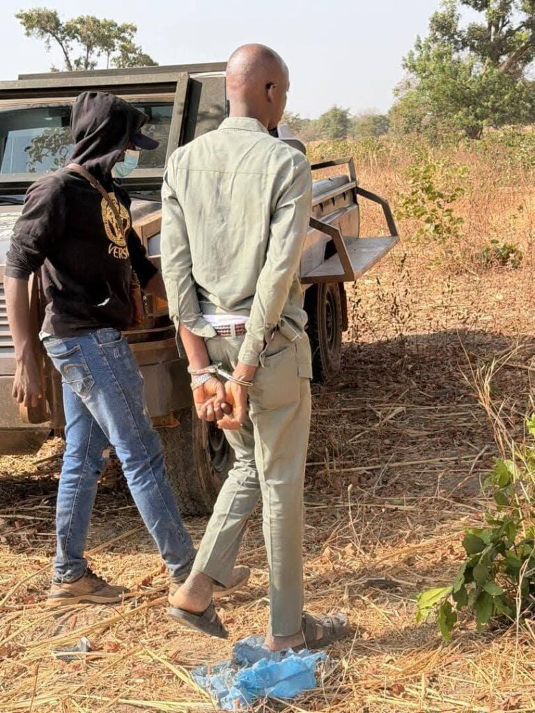 Lutte contre le trafic du cyanure