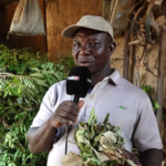  Biodiversité au Burkina : certaines espèces médicinales deviennent de plus en plus rares