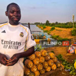 L&rsquo;or tropical au coin de la rue : Quand l&rsquo;ananas couronne le succès des jeunes de Ouagadougou