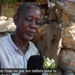 Saison des pluies : il transforme des boîtes de conserve en supports pour spirales antimoustiques